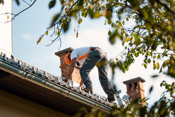 Best Roof Gutter Cleaning  in Herrin, IL