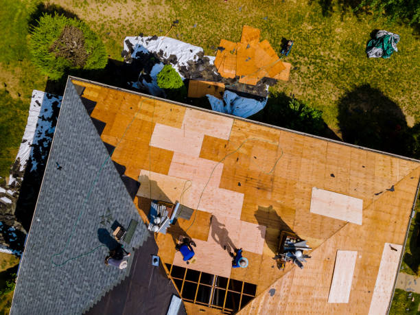 Best Gutter Installation and Roofing  in Herrin, IL