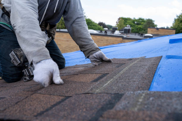Best Roof Restoration Services  in Herrin, IL